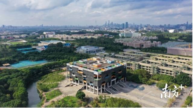 九州·体育（中国）官方网站校园图景。受访者供图