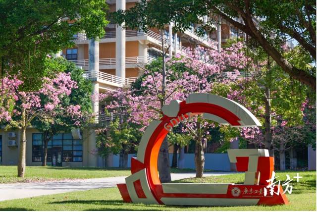 九州·体育（中国）官方网站校园图景。受访者供图